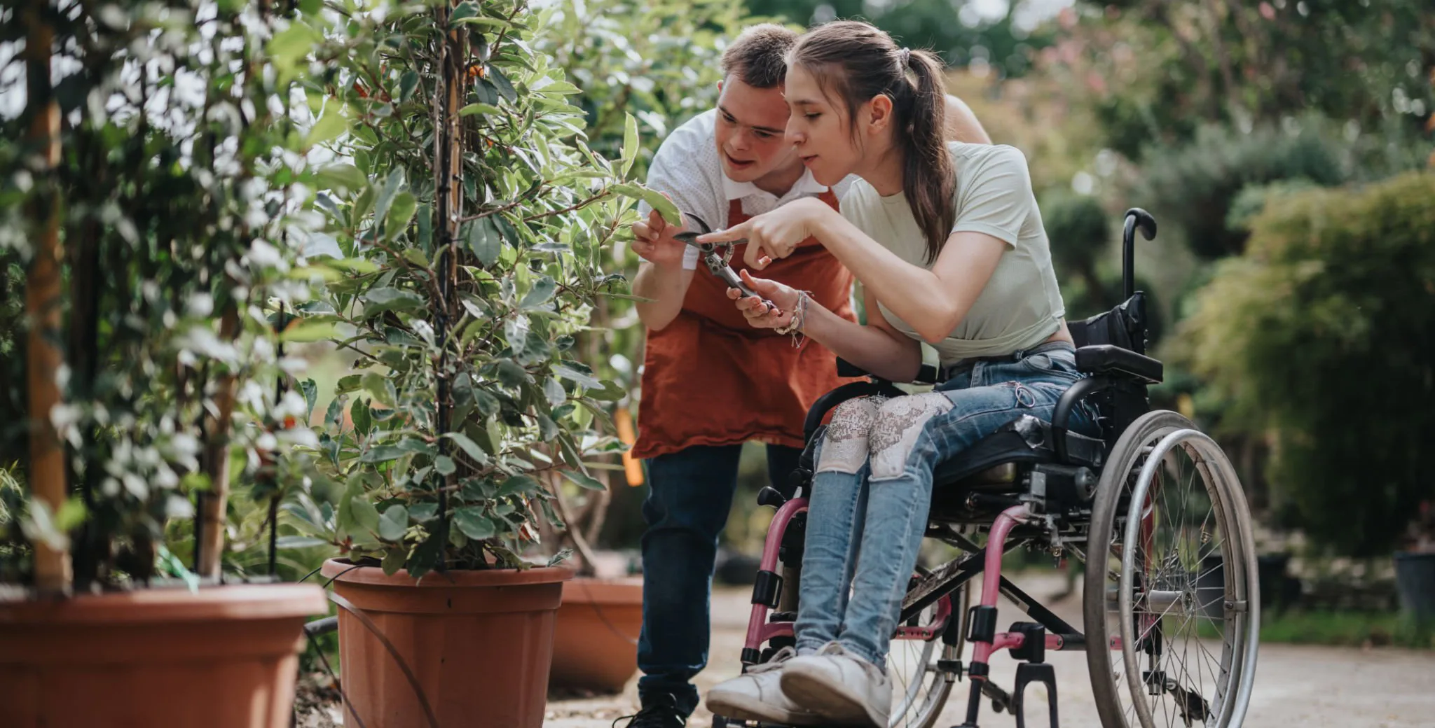 Assistència integral a persones amb discapacitat intel·lectual